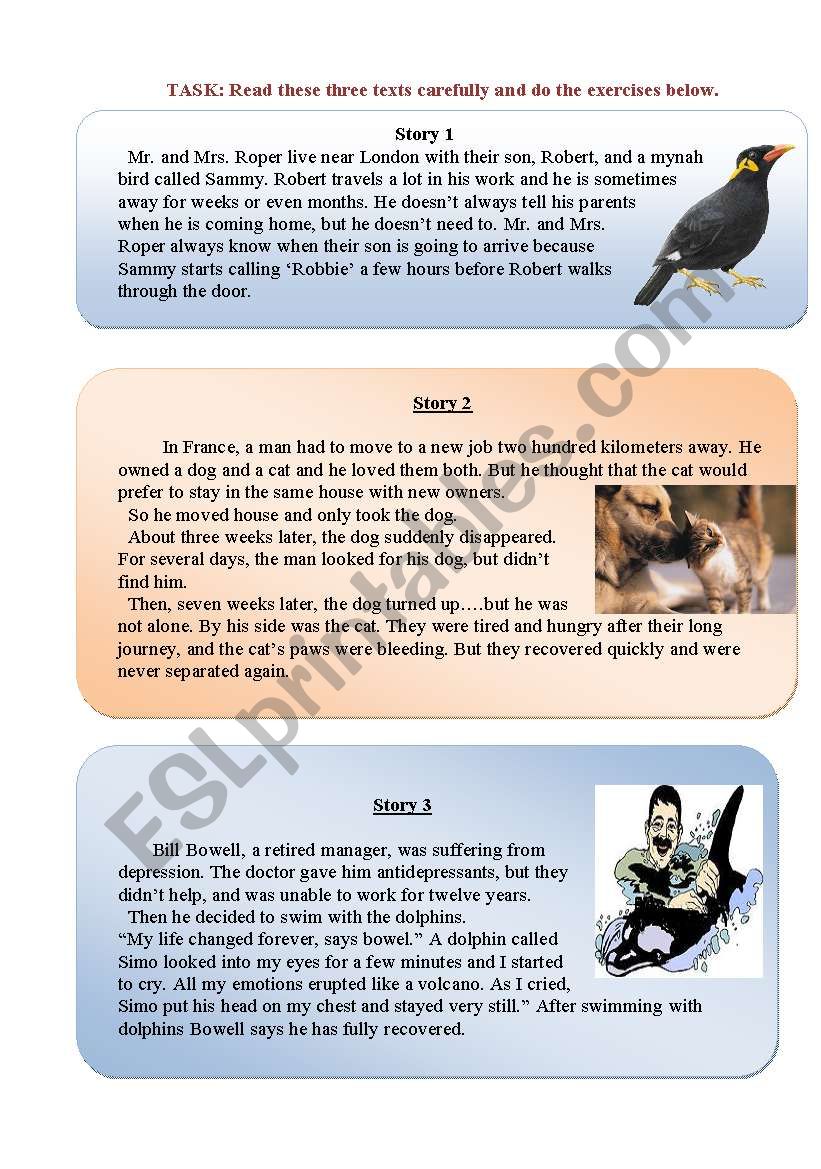 Reading Comprehension Worksheet Pat And The Animals