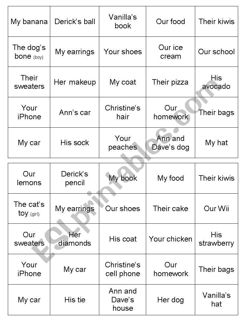 Possives Bingo worksheet