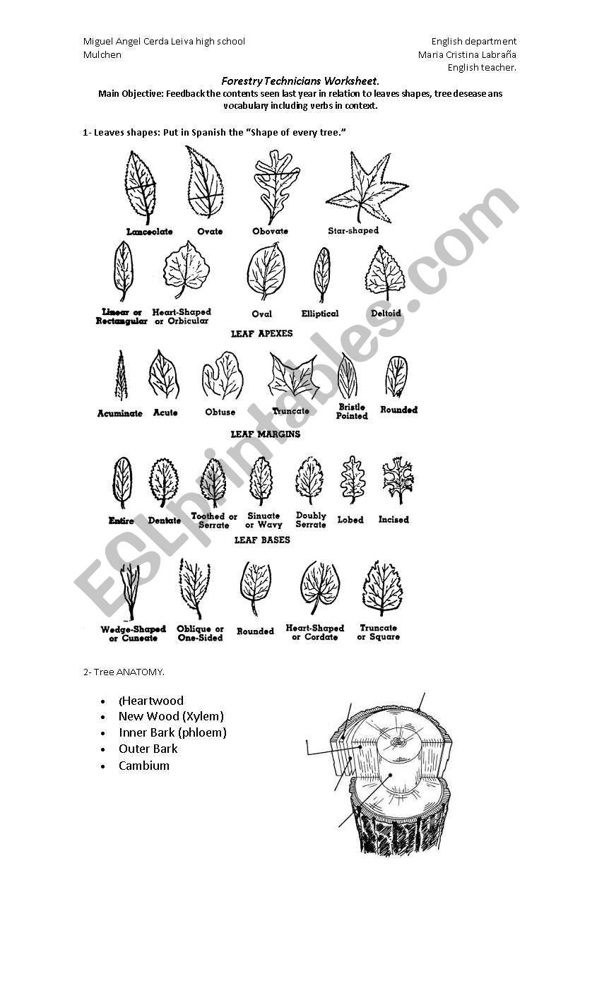 English Worksheets Forestry Technicians Worsheet