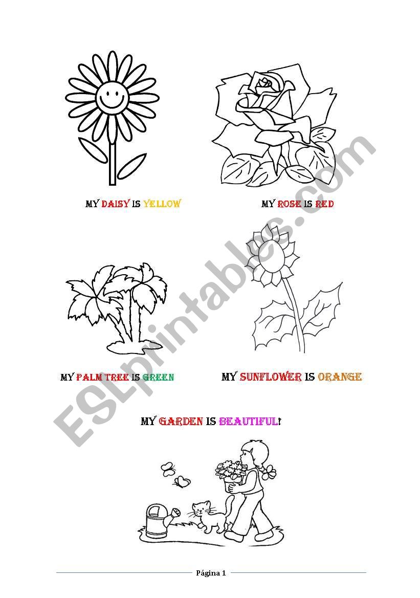 FLOWERS AND COLOURS worksheet