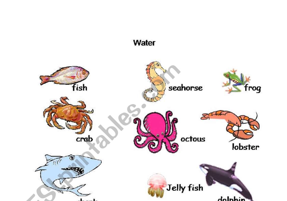 Water Animals worksheet