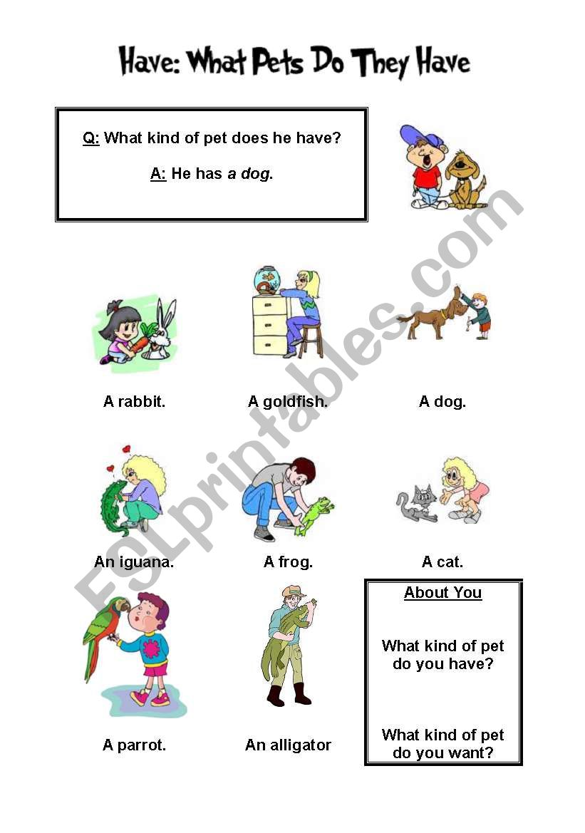What Pets Do They Have worksheet