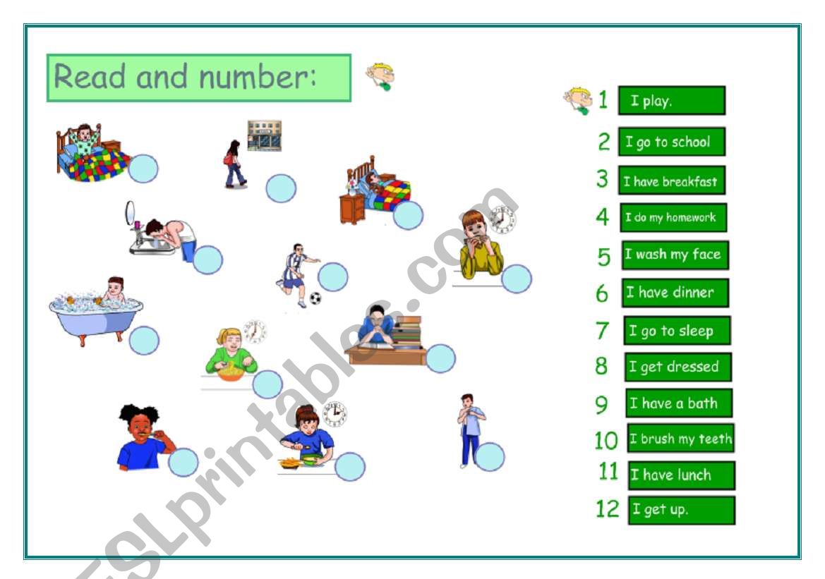 Daily Routines. worksheet