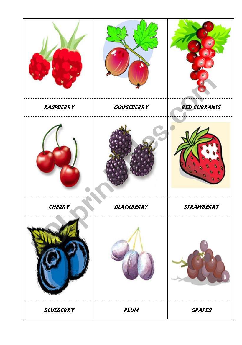 fruit flashcard worksheet