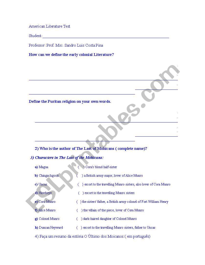 America Literature Test worksheet