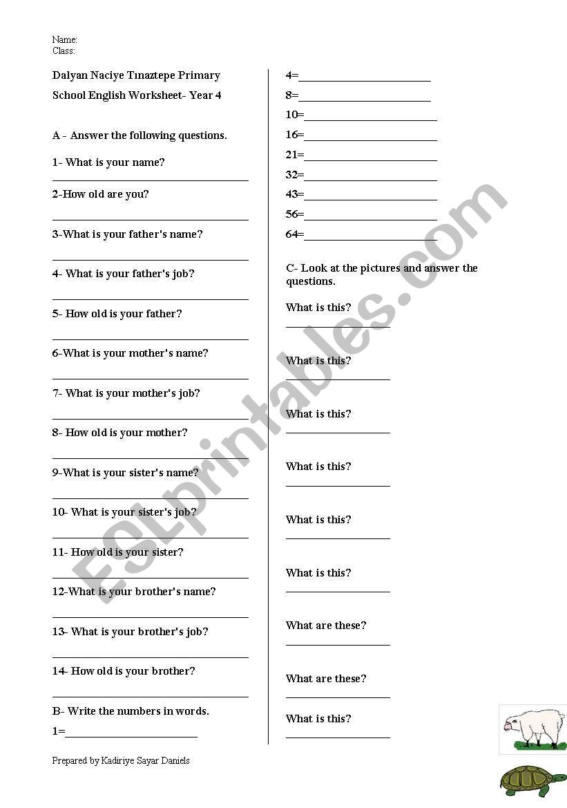 daily routine worksheet