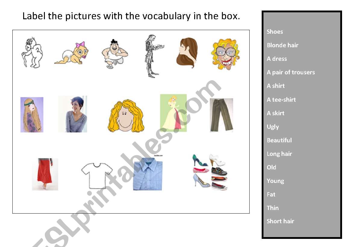 Words to describe appearance worksheet