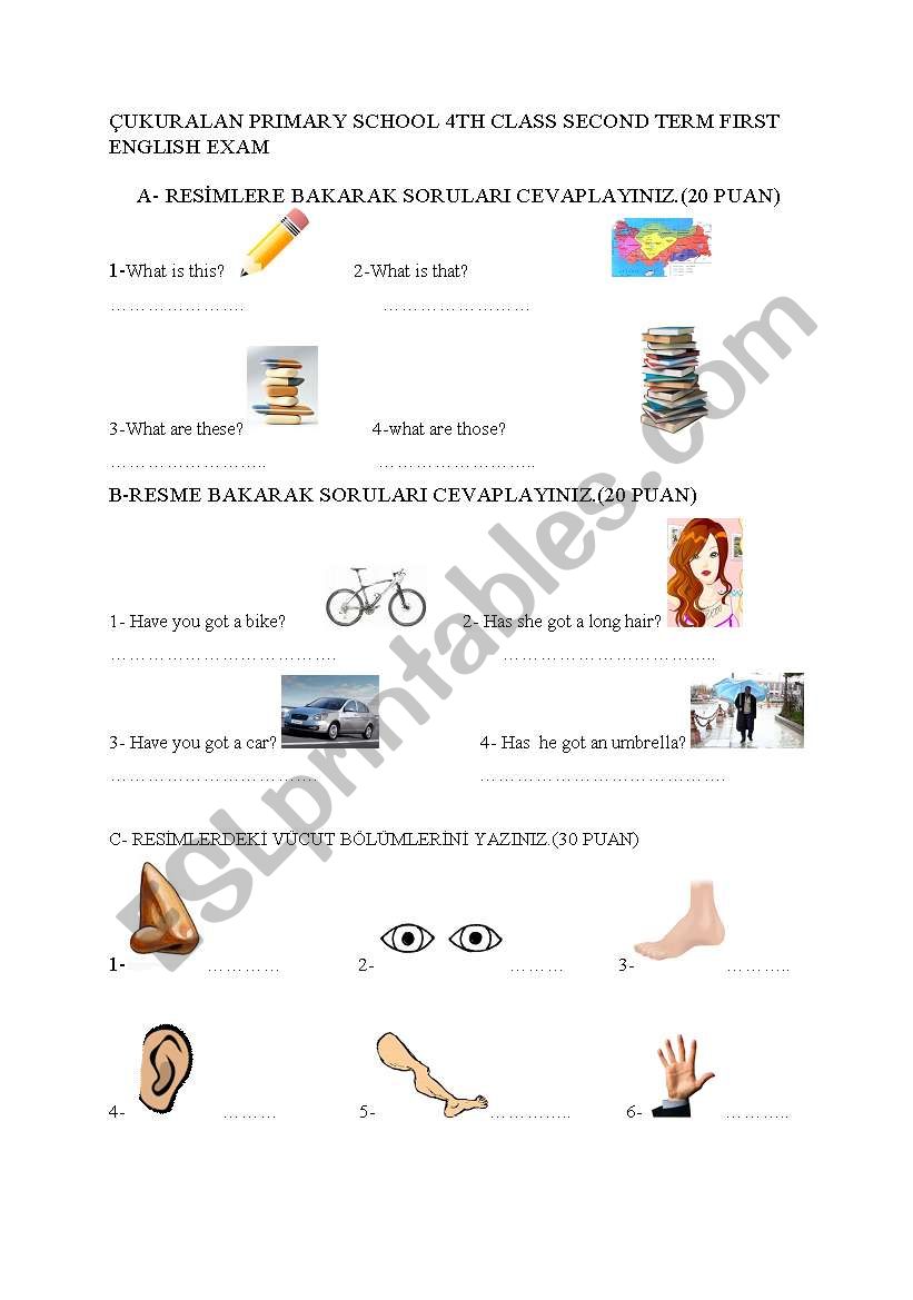 English Worksheets Exam 4th Class