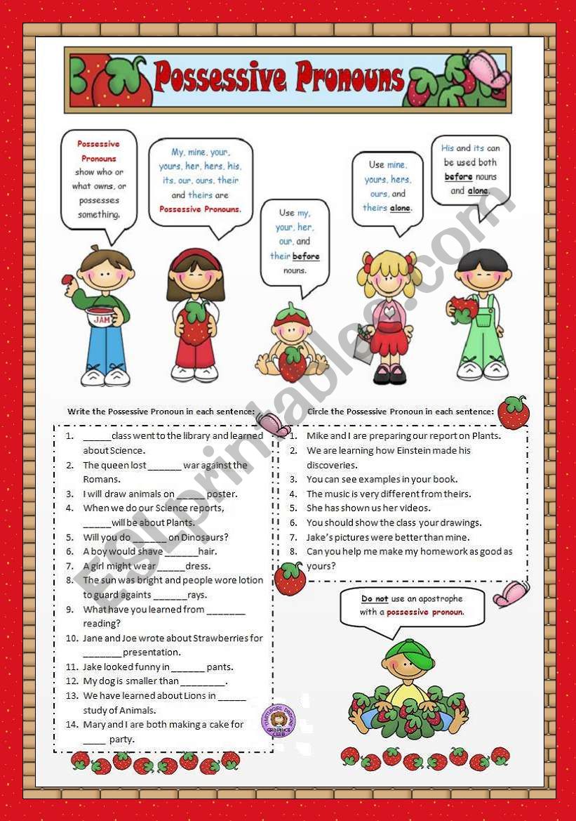 Possessive Pronouns Worksheets Pdf With Answers