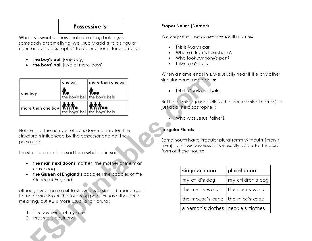 Possessives  worksheet