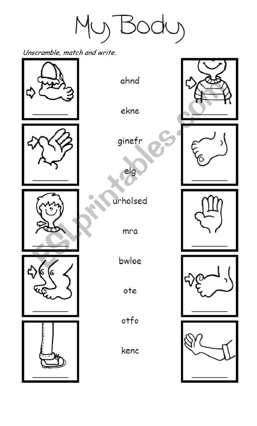 My Body ESL Worksheet By KarenM 