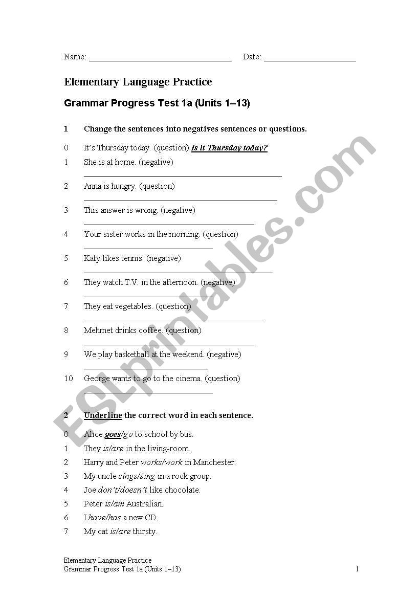 Elementary Language Test worksheet