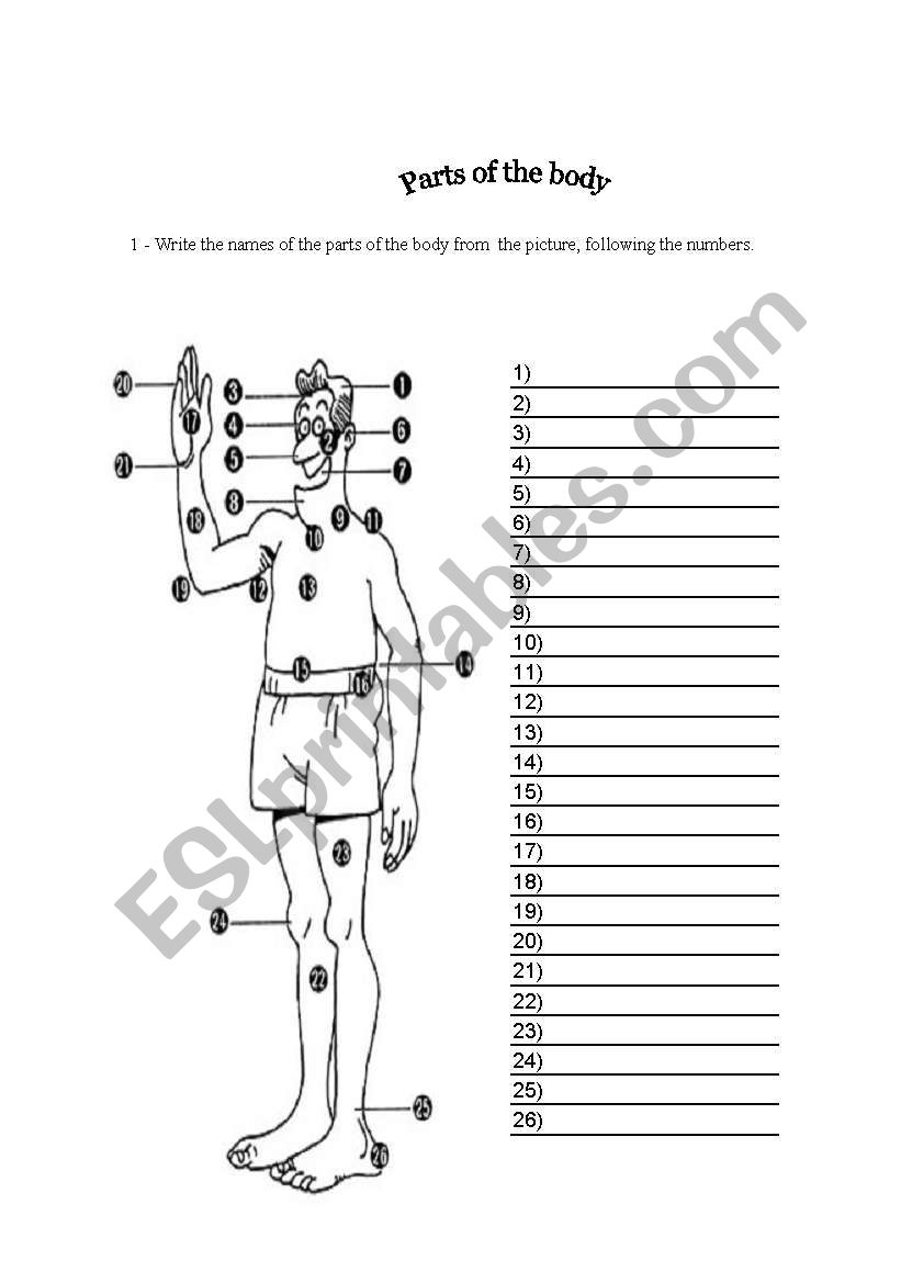 Parts of the Body worksheet