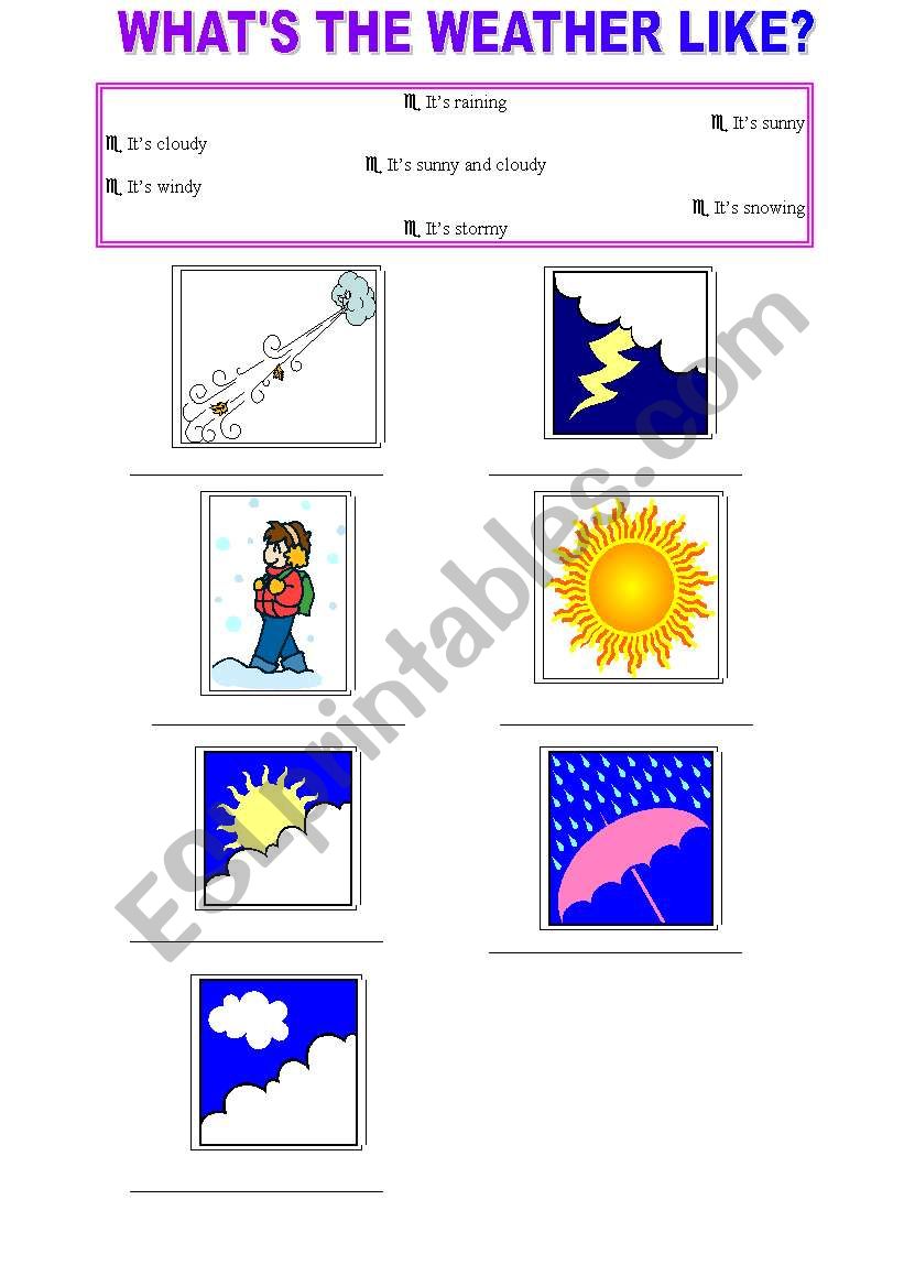 weather worksheet