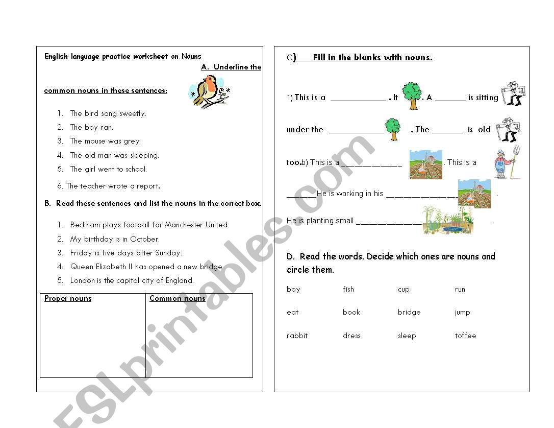 nouns worksheet