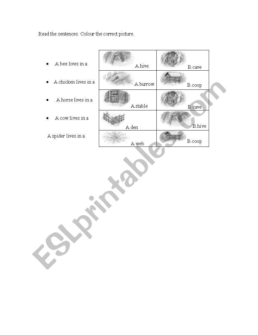 homes of animals worksheet