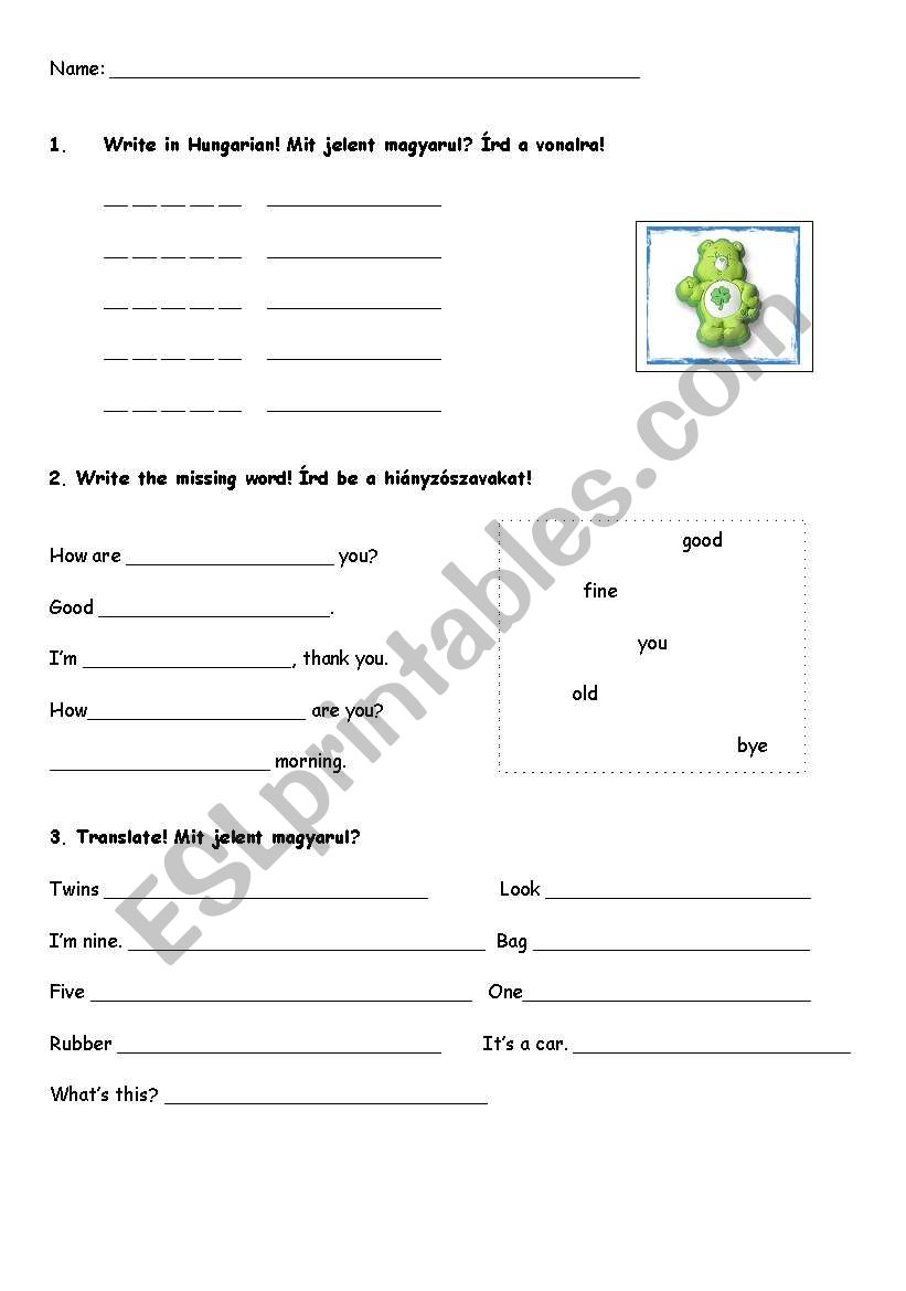 vocabulary revision worksheet