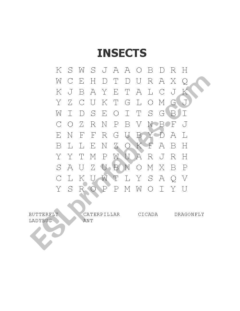 INSECTS word search worksheet