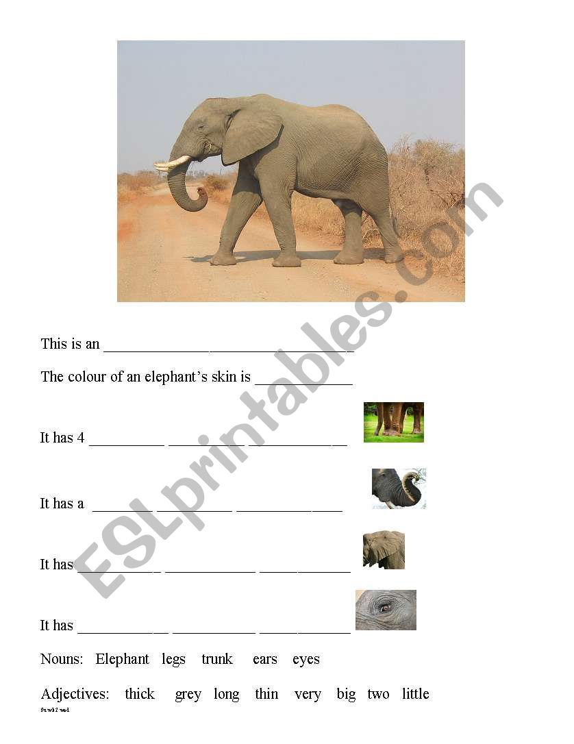 parts of an elephant, writing in sentences