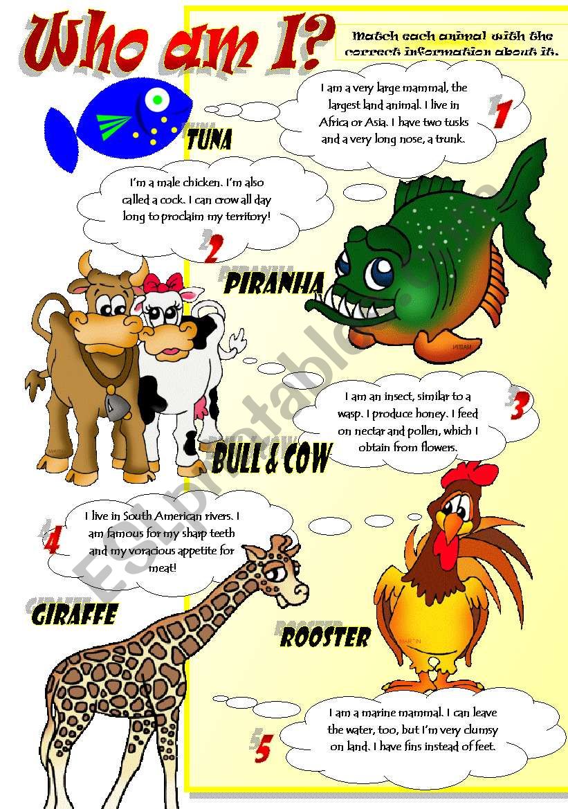 ANIMAL FACTS Part 2 ESL Worksheet By Pilarmham