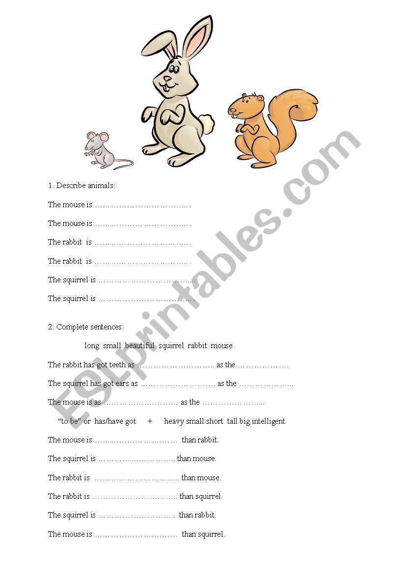 description of the animals worksheet