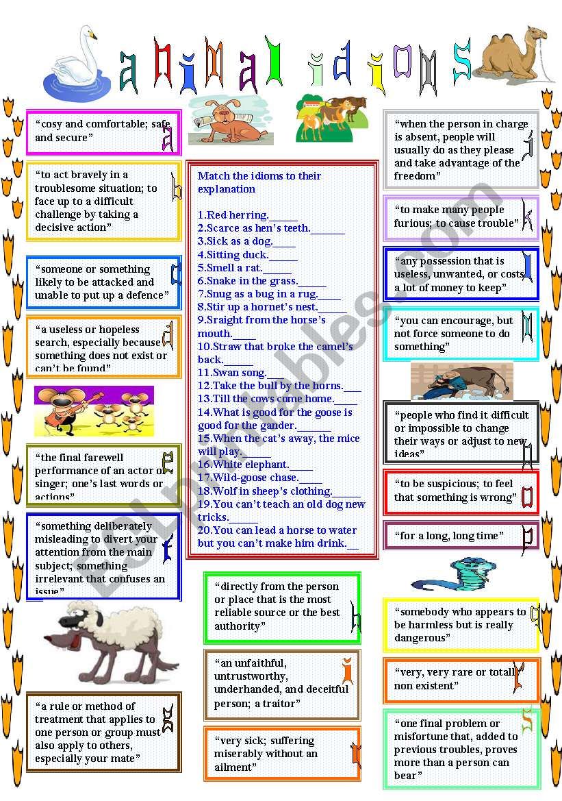 animal idioms 4 worksheet