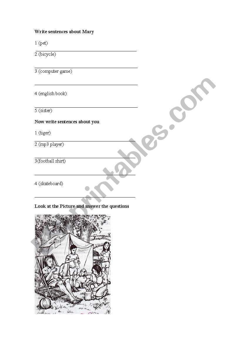 Have got and has got worksheet