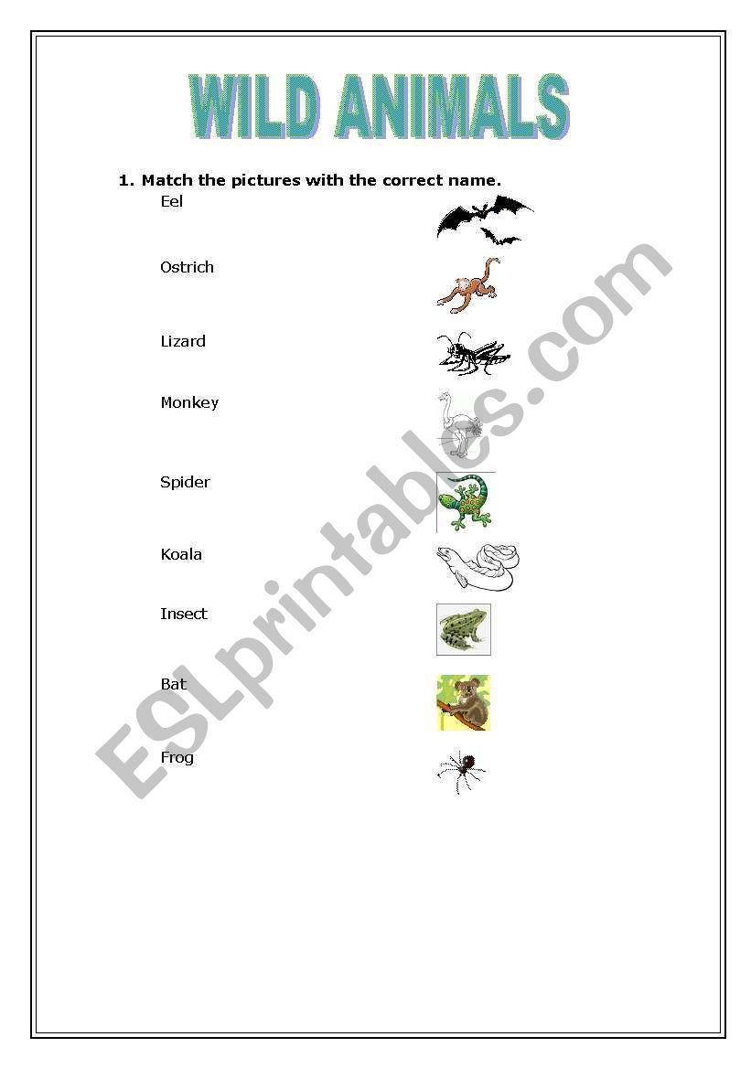 Wild animals worksheet