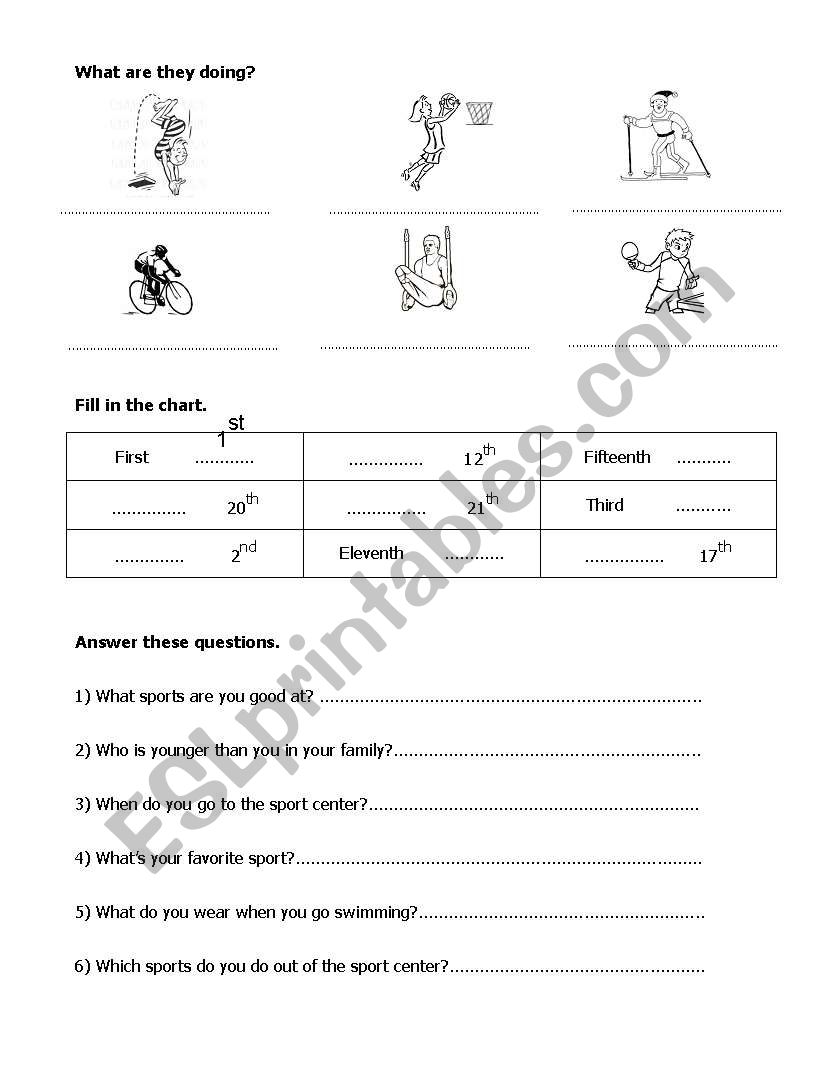 sport worksheet