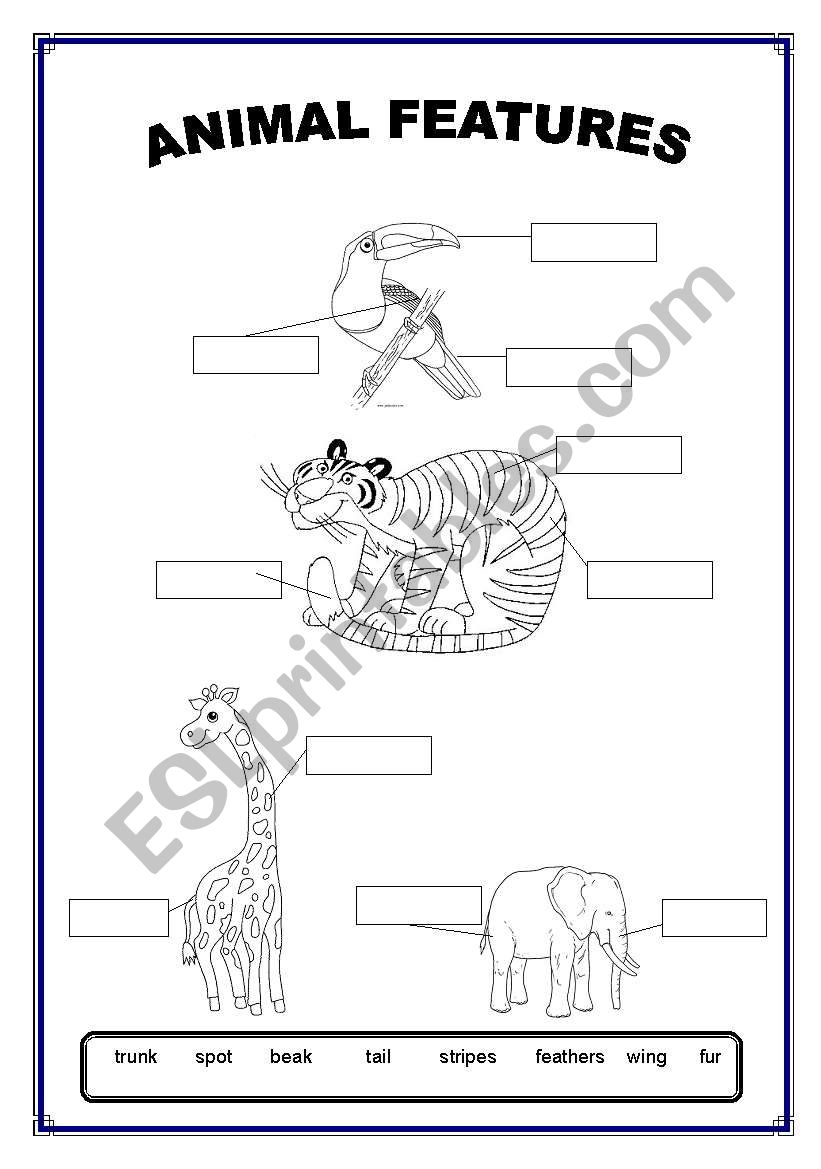 Animal features - ESL worksheet by kela176