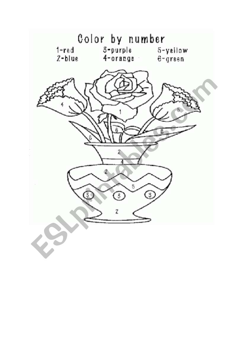 flowers worksheet