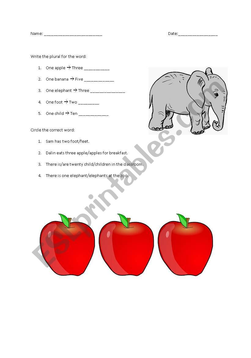 Singular and Plural worksheet