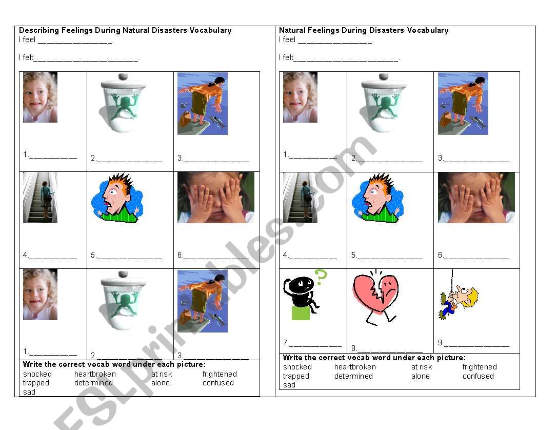 Describing Feelings during Natural Disasters