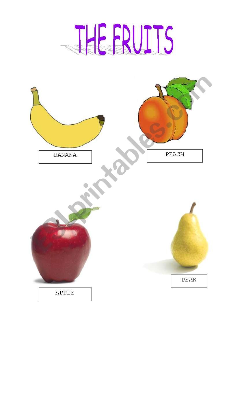 the fruits worksheet