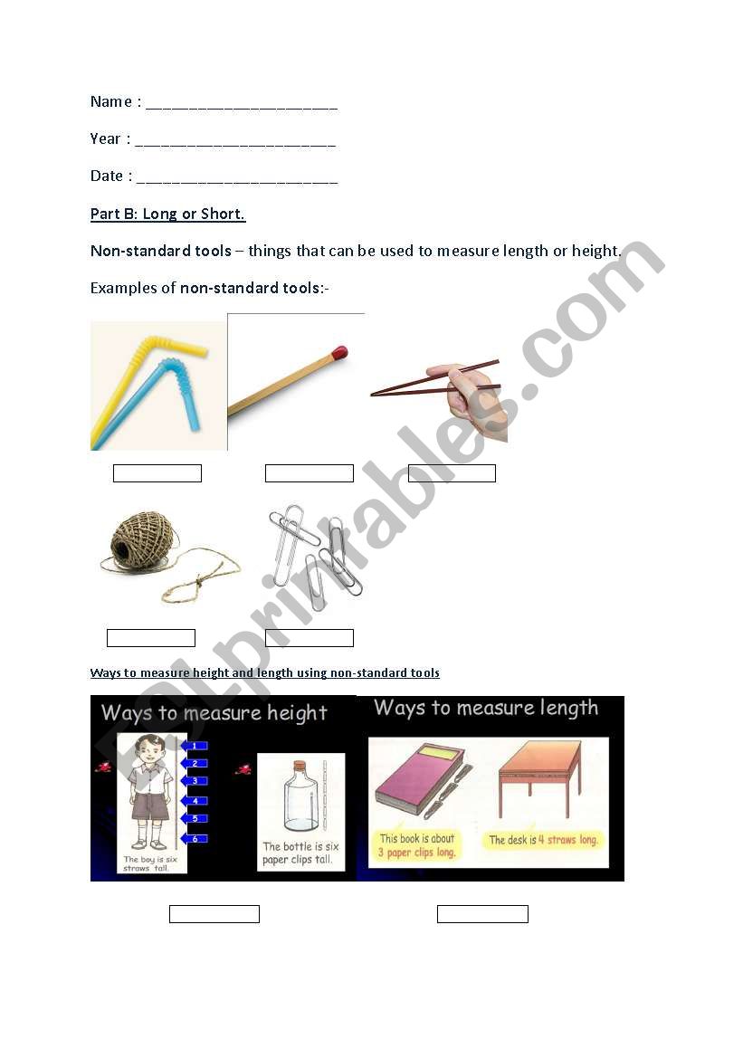 measuring lengths and heights worksheet