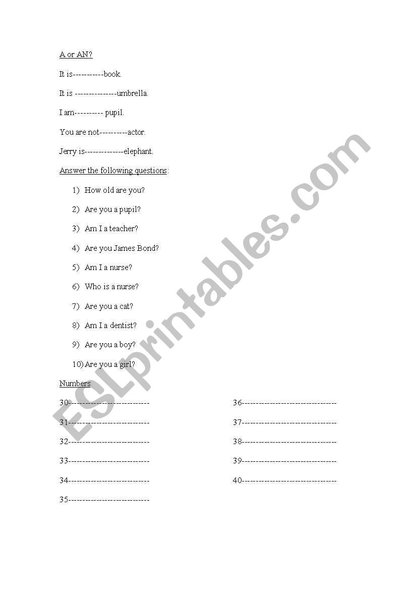 a-an worksheet