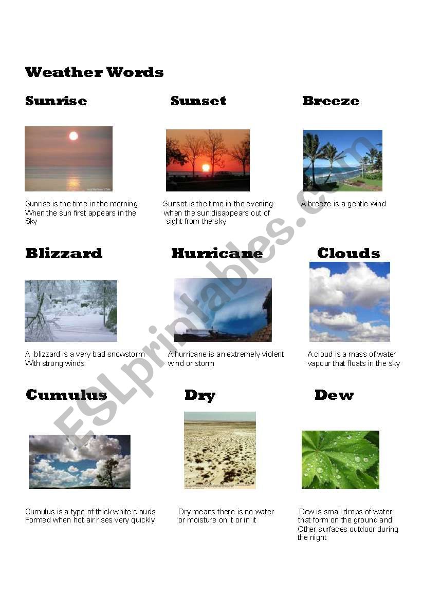 Weather Words - ESL worksheet by RoshiniP