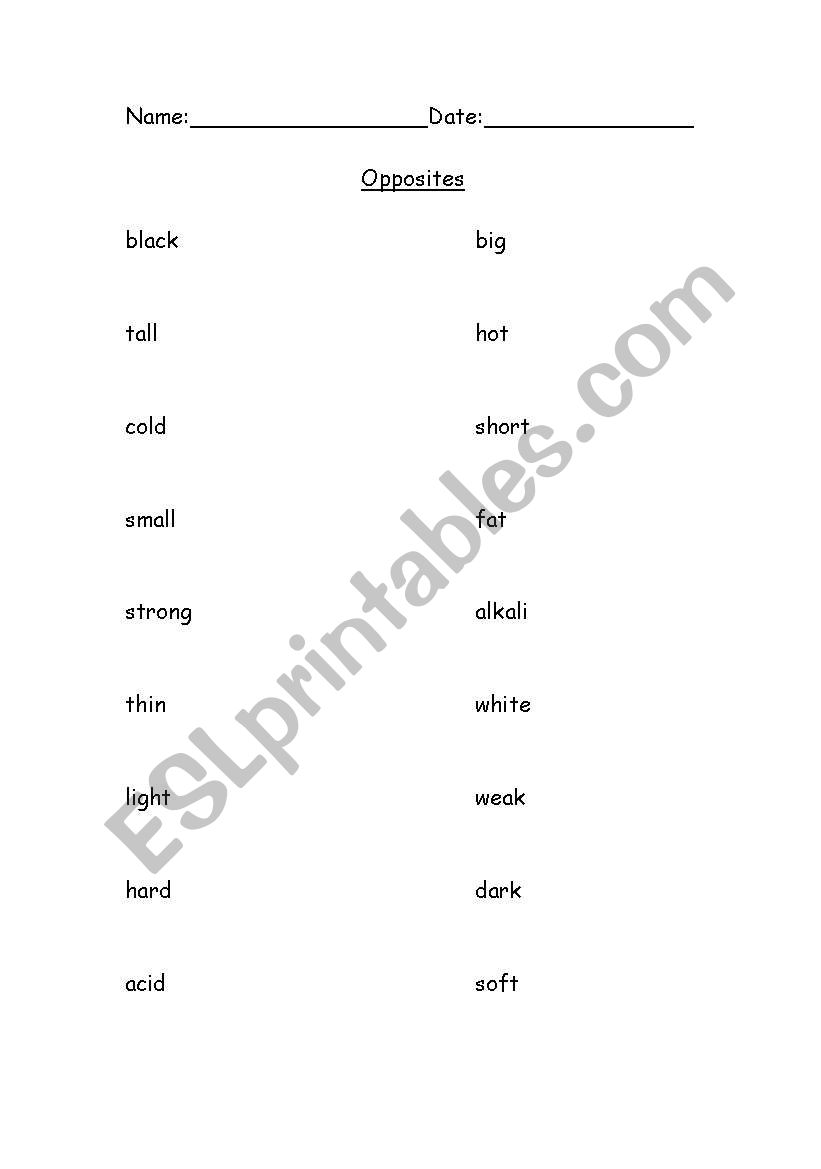 Opposites worksheet