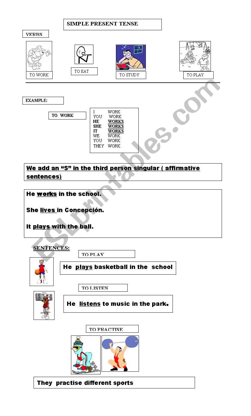 Present Simple-Affirmative worksheet