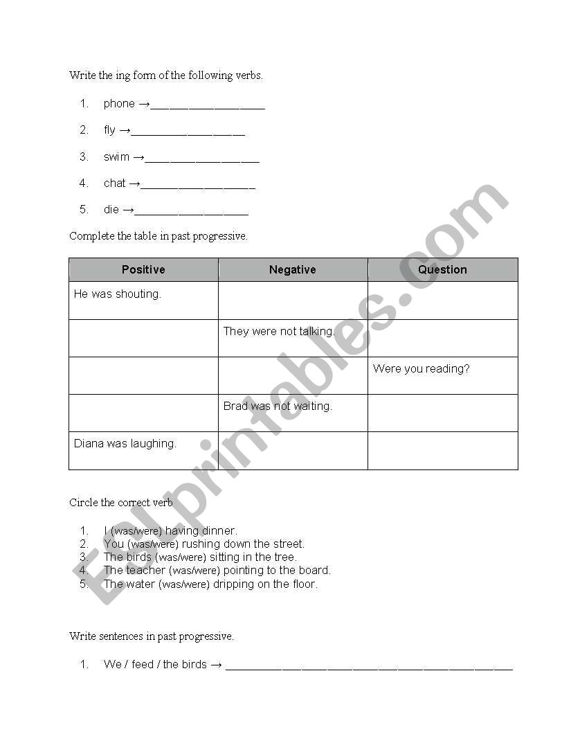 Past Continuous Exercises worksheet
