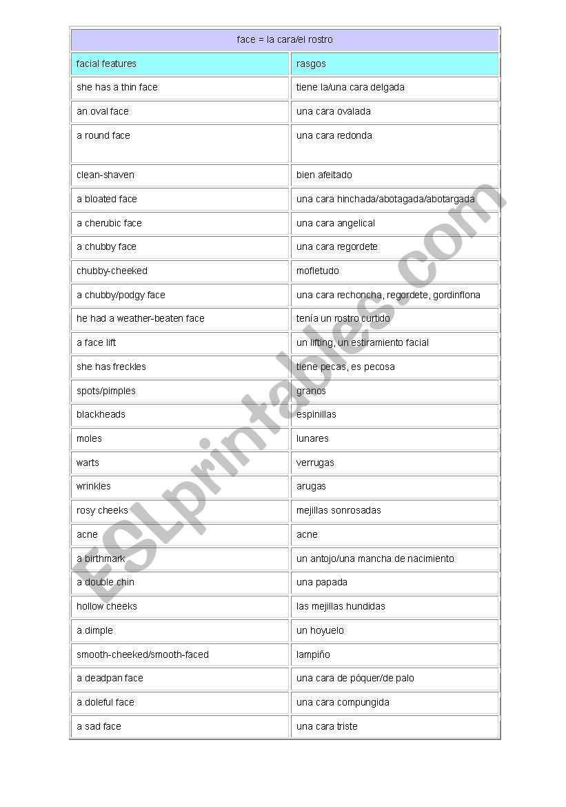 Physical descriptions worksheet