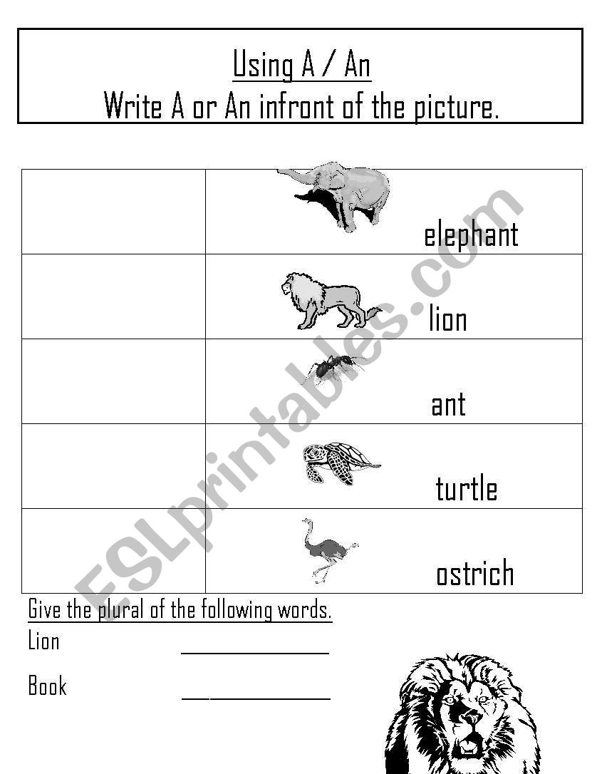 A/An & plurals worksheet