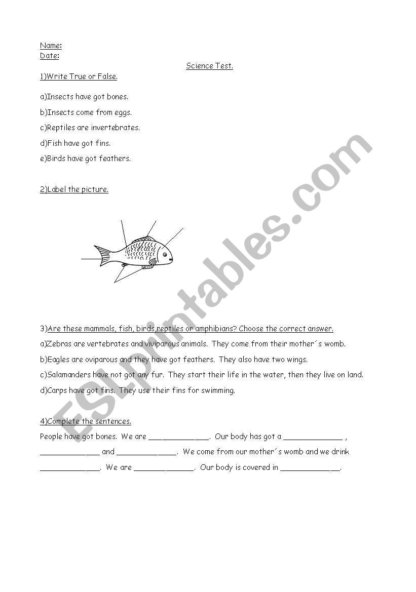 science worksheet