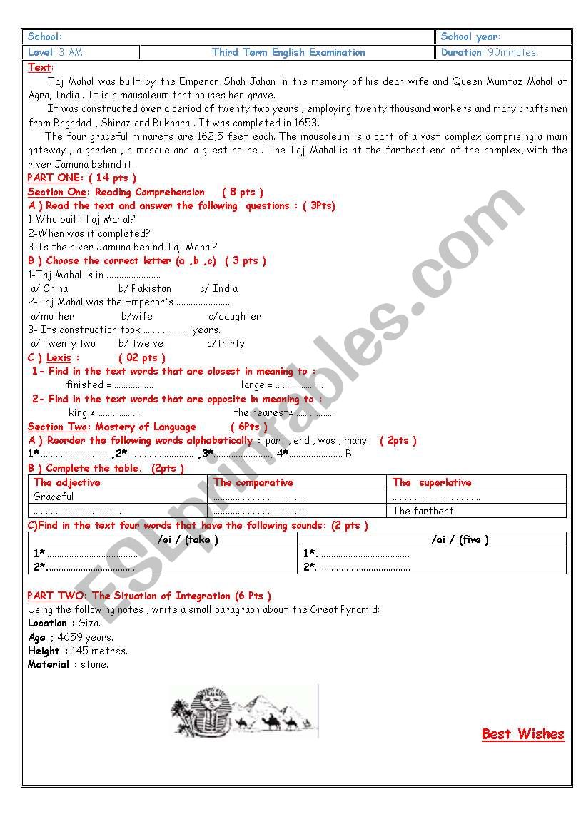 3 MS Examination worksheet