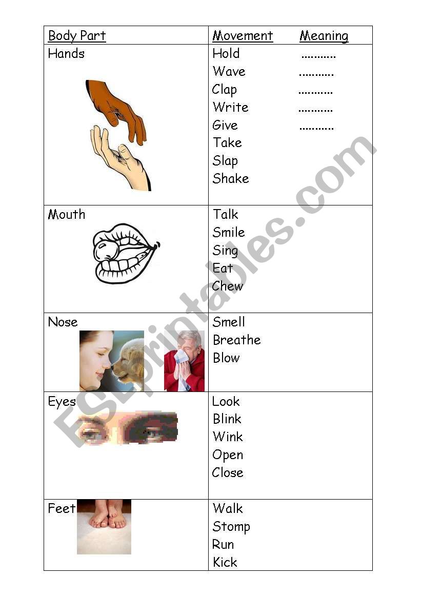 Body Parts worksheet