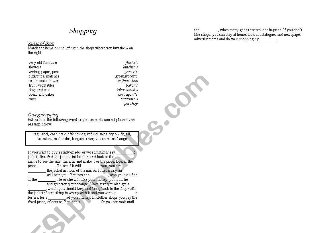 Shopping exercise worksheet