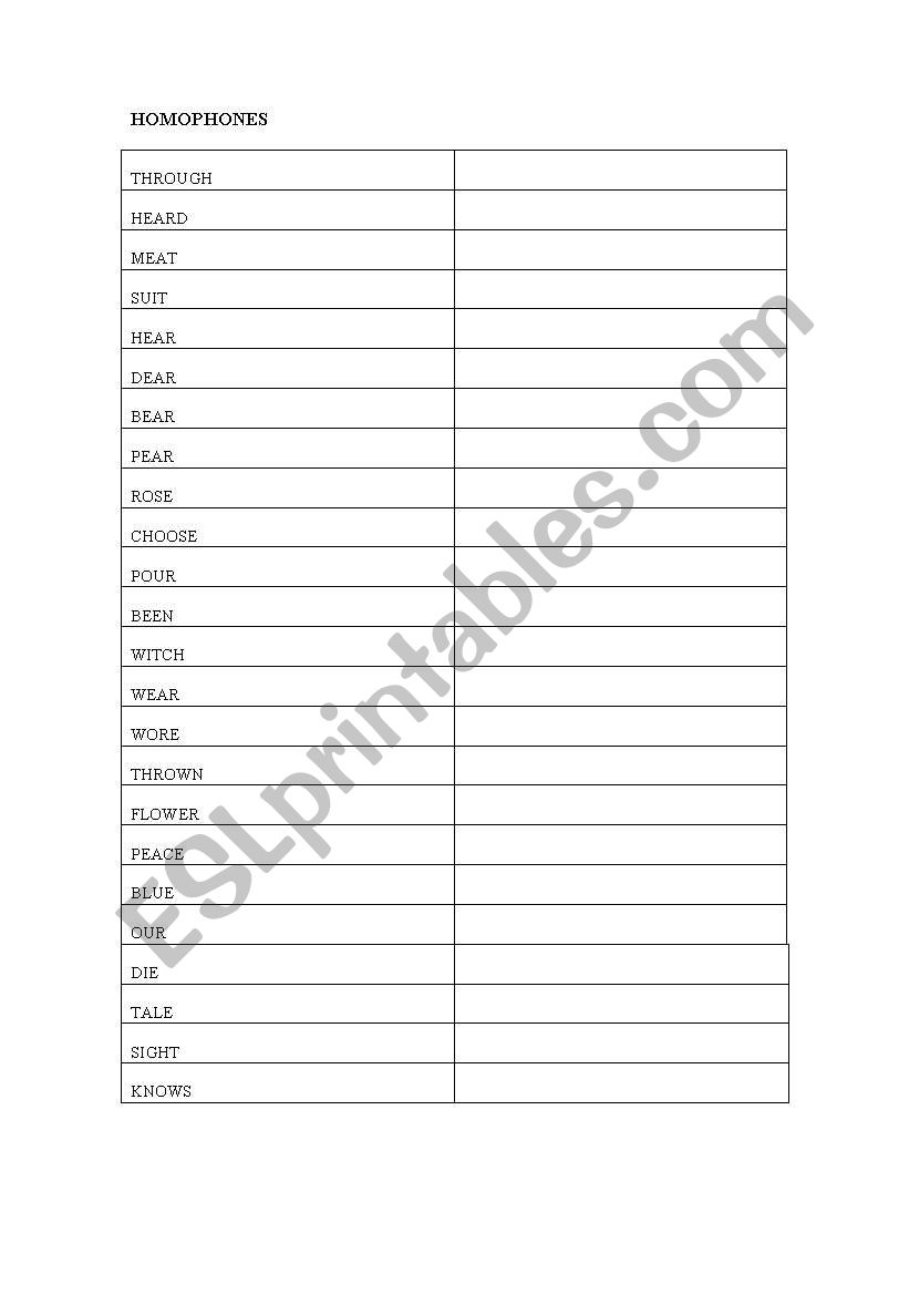 HOMOPHONES worksheet