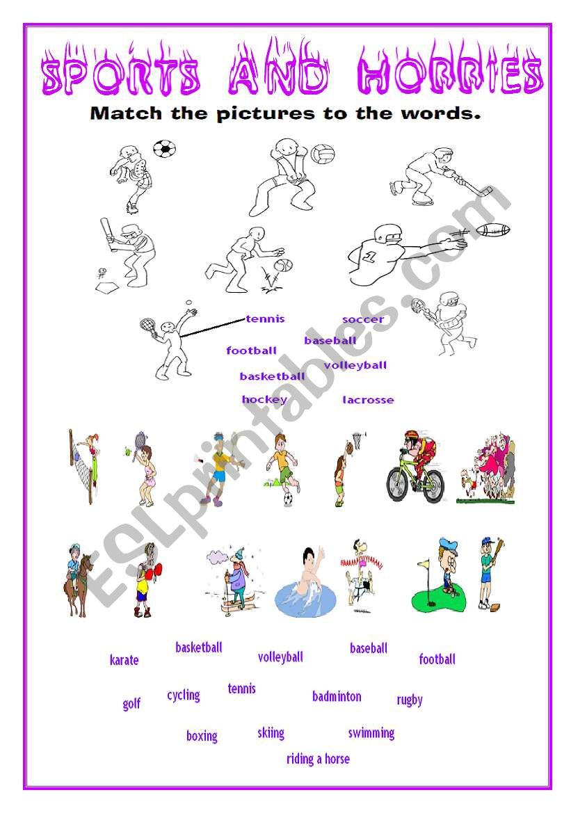 SPORTS AND HOBBIES worksheet