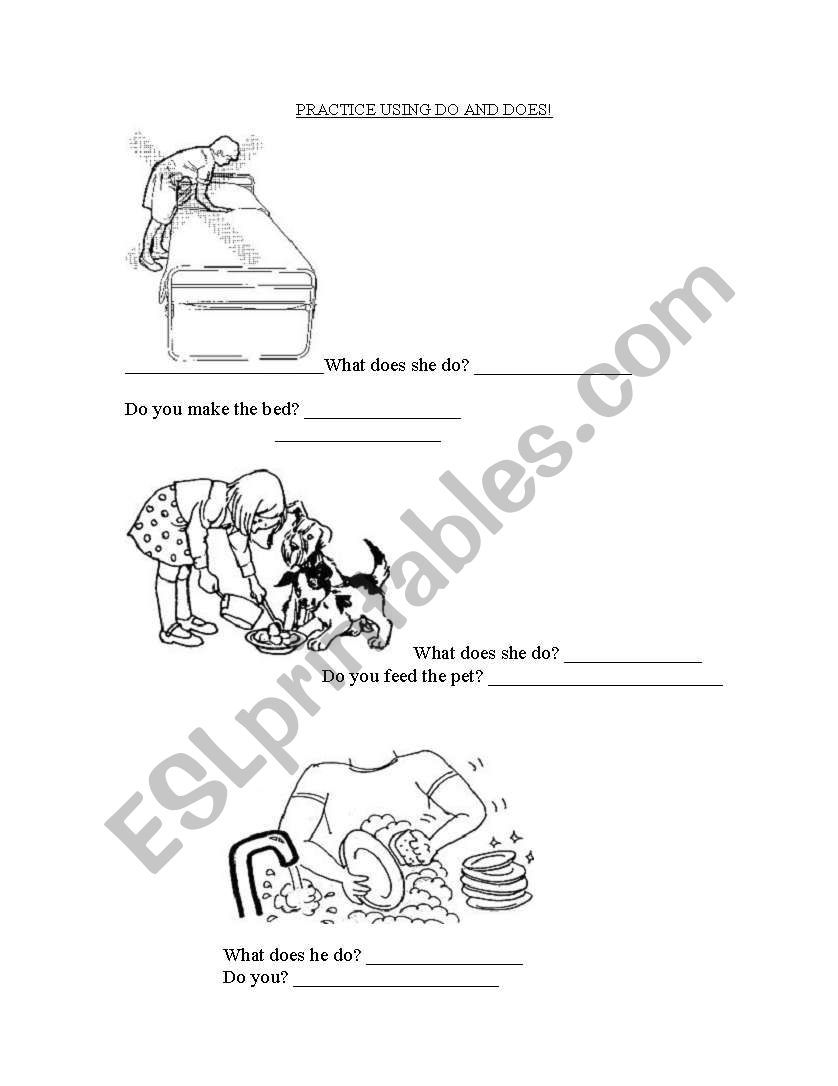 Practice Do and Does!  worksheet