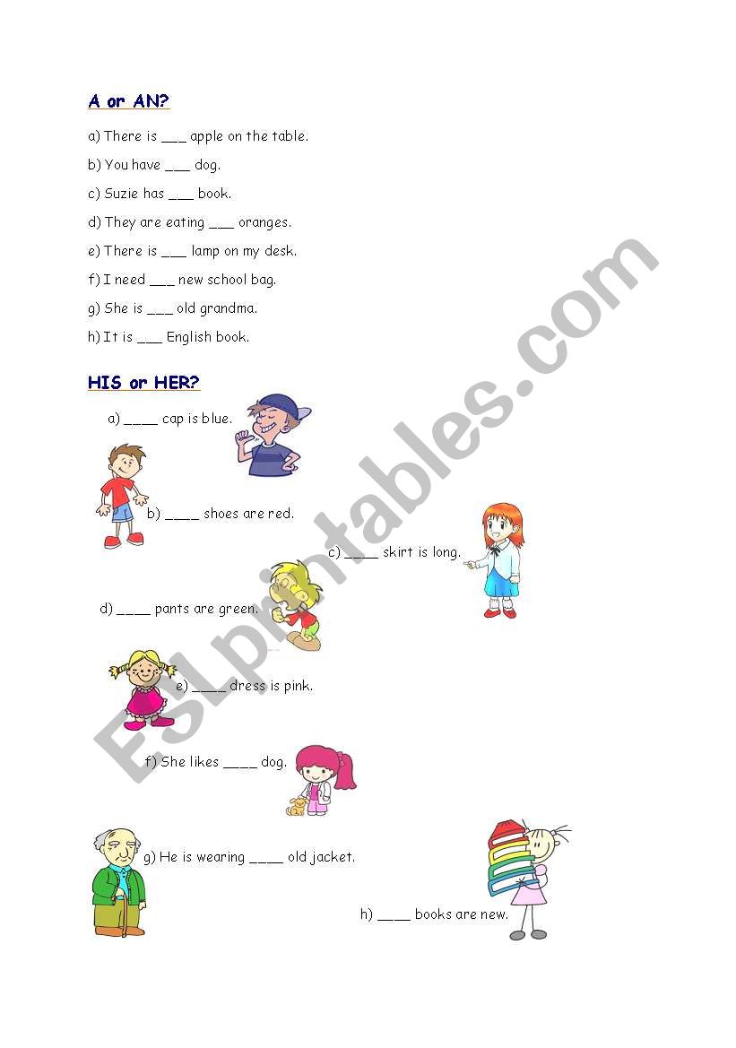 A or AN? HIS or HER? worksheet